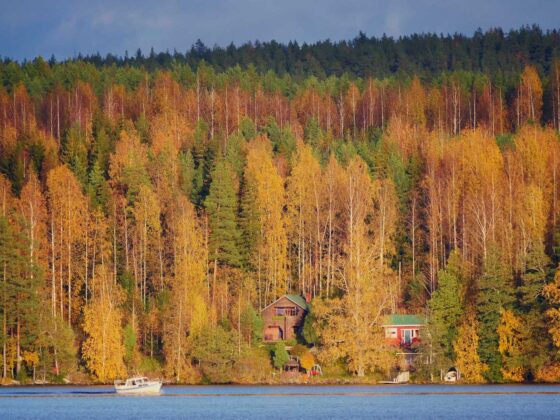 syksy, kuva Hannu Moilanen
