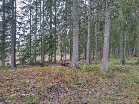 Punkalaidun, Kennin pohjavesialue