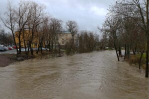 punkalaitumenjoki