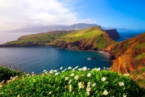 Ponta,De,Sao,Lourenco,Peninsula,With,Beautiful,Flowers,In,The