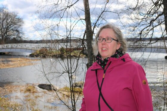 NINA VIROLAINEN kopio