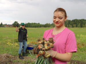 Palstaviljely, 4H, sipuli