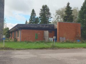 kuninkainen