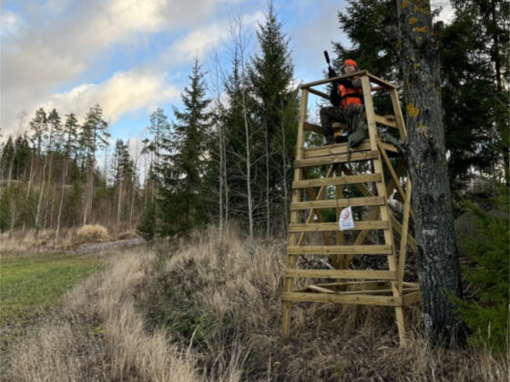 Metsästystorni