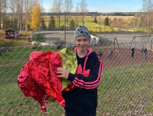 ilmapallo punkalaitumella kopio