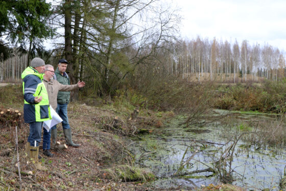 korkeakoski 4