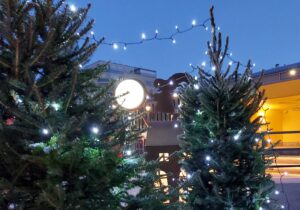 Vammalan tori, toripuisto, joulukuuset