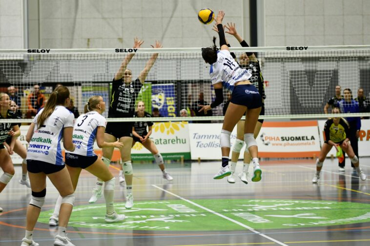 LP-Vampula - Puijo Wolley, 8.11.2025