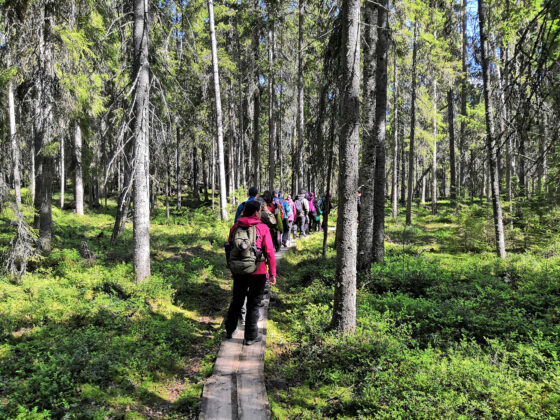 Vammalan Retkeilijät