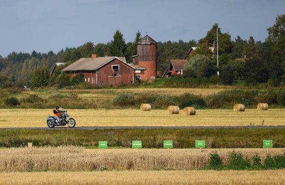 ++Vielä on kesää jäljellä, syyskuu 2025, kuva Hannu Moilanen