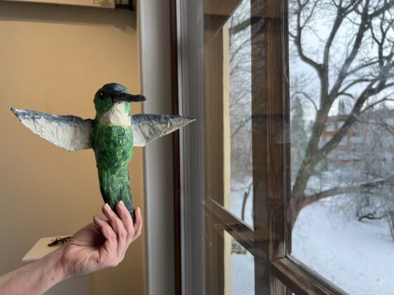 saan-nakya-saan-kuulua-001