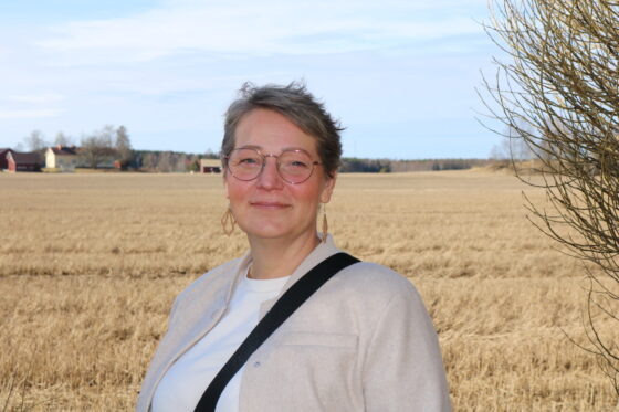 PETRA peltomaisema takana kopio