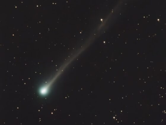 Komeetta Panstarrs