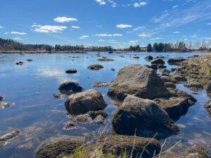 Kokemäenjoki, Kiikka