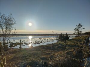 Puurijärvi