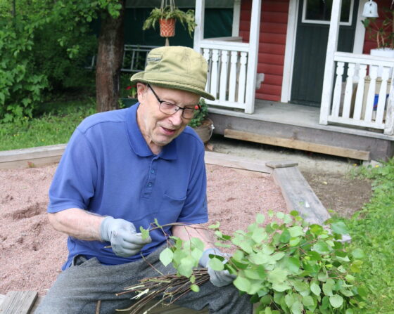 VIHTA kuva 2 kopio