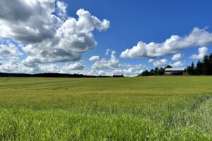 Pelto, maaseutu, kesä