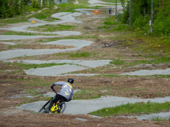 Maastopyöräenduro, Ellivuori