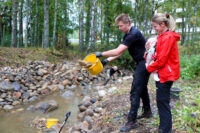 pukinojan kunnostus metsämäet ja reunanen
