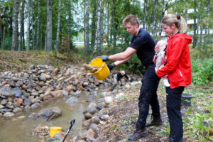 pukinojan kunnostus metsämäet ja reunanen