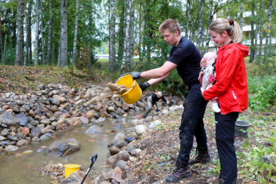 pukinojan kunnostus metsämäet ja reunanen
